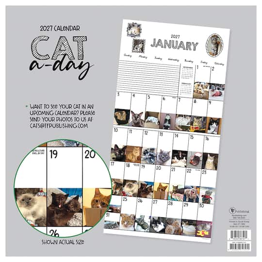 2027 Cat-A-Day Wall Calendar
